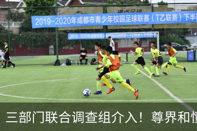 三部门联合调查组介入！尊界和懂车帝谁最慌？
