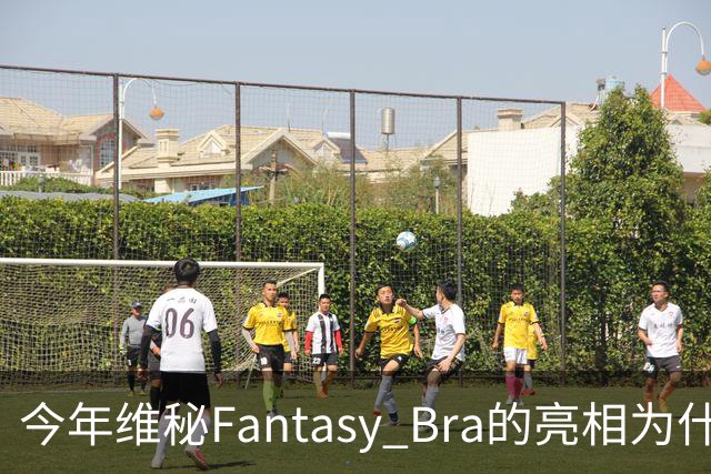 今年维秘Fantasy Bra的亮相为什么会选择金小妹？