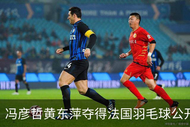 冯彦哲/黄东萍夺得法国羽毛球公开赛混双冠军
