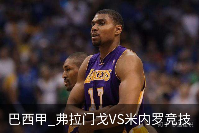 巴西甲 弗拉门戈VS米内罗竞技