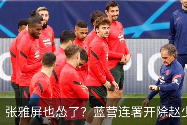 张雅屏也怂了？蓝营连署开除赵少康，张雅屏：联署人数不能替代事证