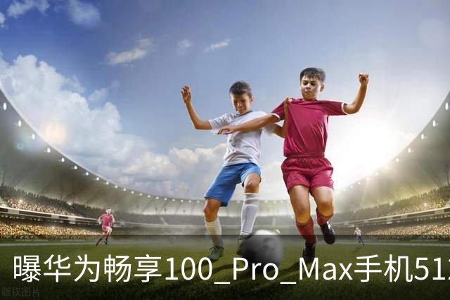 曝华为畅享100 Pro Max手机512GB版本独享麒麟8020处理器，标准版选用麒麟8000S芯片