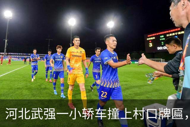 河北武强一小轿车撞上村口牌匾，电线杆扎进驾驶室；当地称因错车导致事故发生，无人员受伤，牌匾也已恢复
