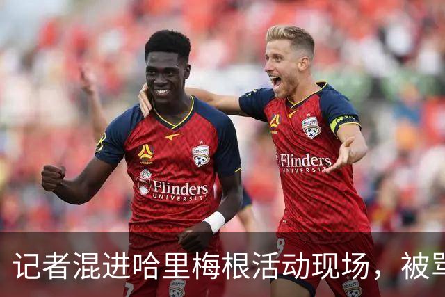 记者混进哈里梅根活动现场，被骂“女巫”，亲眼看着童话碎一地