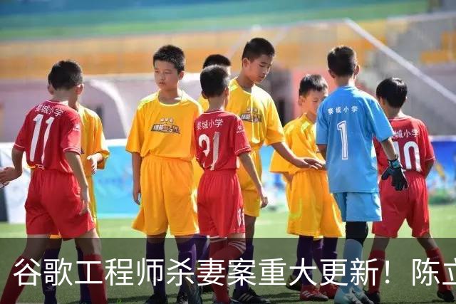 谷歌工程师杀妻案重大更新！陈立人以“精神失常”为由抗辩无罪，可能终身关进精神病院