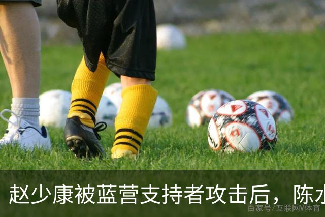 赵少康被蓝营支持者攻击后，陈水扁发声，沈伯洋向中间选民出手了