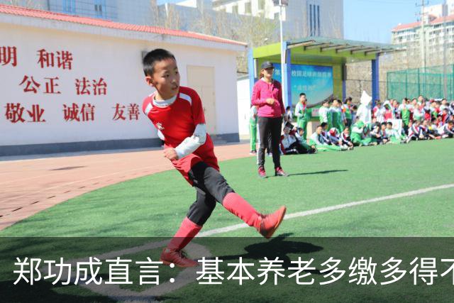 郑功成直言：基本养老多缴多得不成立！为什么很多人认同这个看法